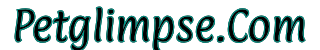 palegreen-elk-858583.hostingersite.com