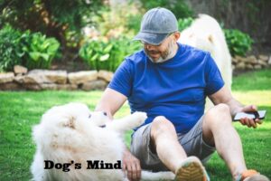 Dog’s Mind